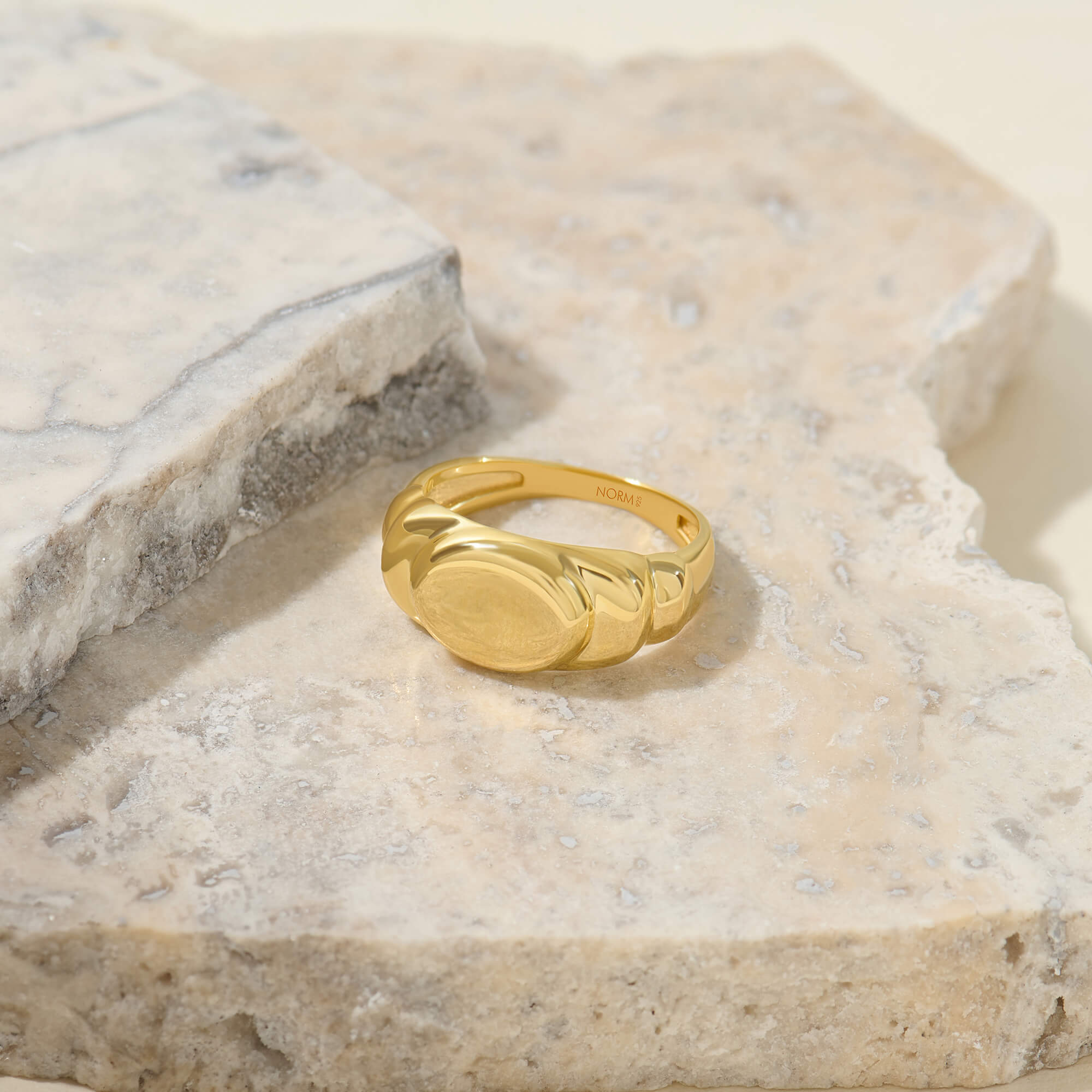 Iconic Signet Ring in 24K Gold Plated Vermeil on Solid Silver