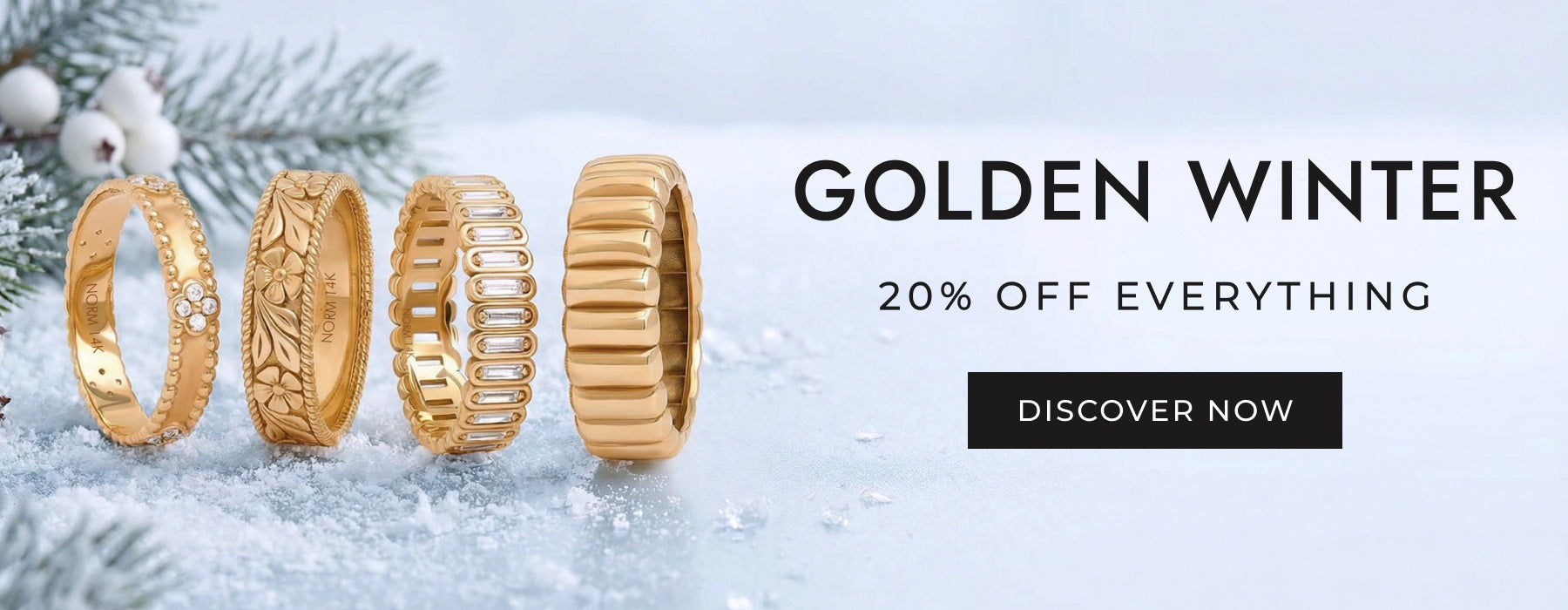 Norm Diamond Rings Winter Sale Desktop Slider