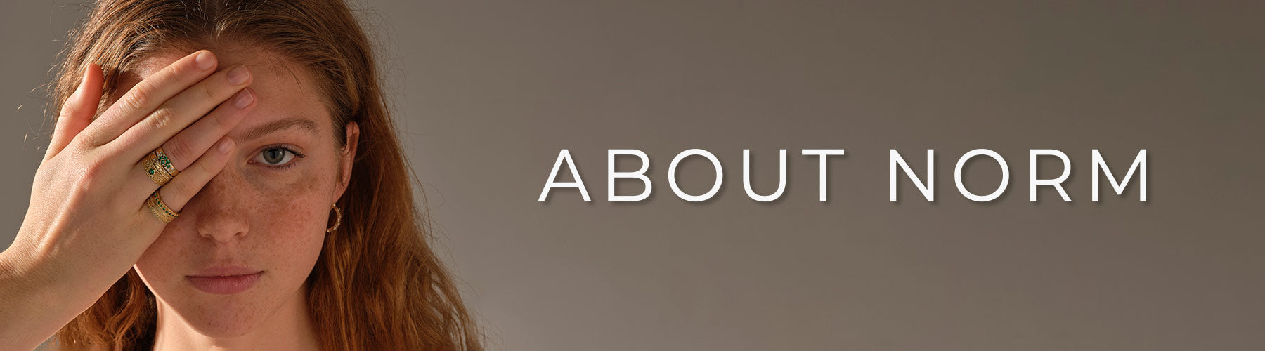 Norm About Us Page Desktop Model