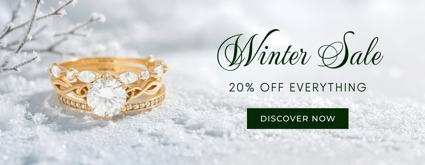 Norm Diamond Rings Winter Sale Desktop Slider