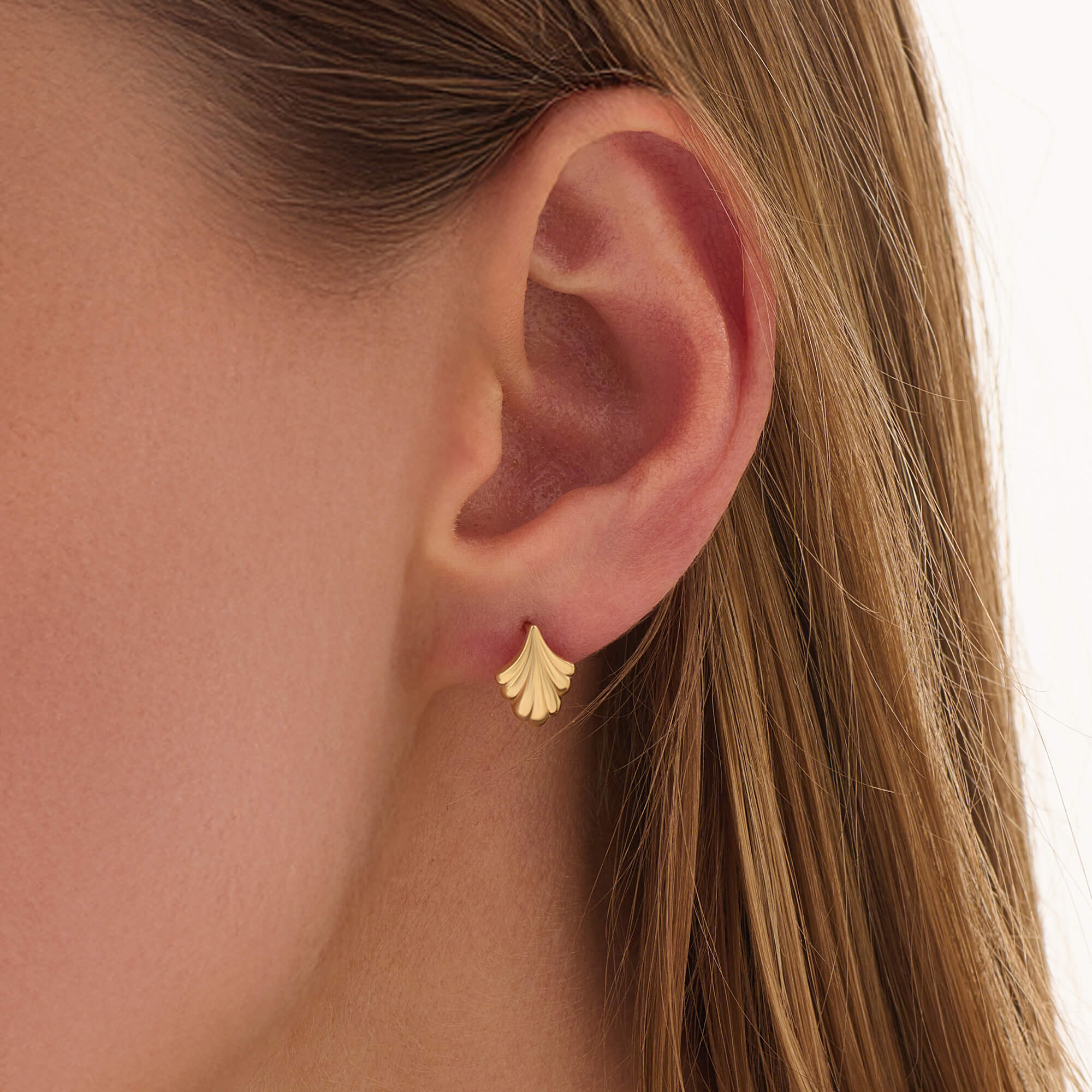 Women's Seashell Stud Earrings in 24K Gold Vermeil